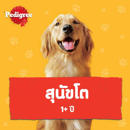 เพดดิกรี อาหารสุนัข ชนิดเปียกแบบกระป๋อง สูตรสุนัขโต รสเนื้อ บด 700 ก.