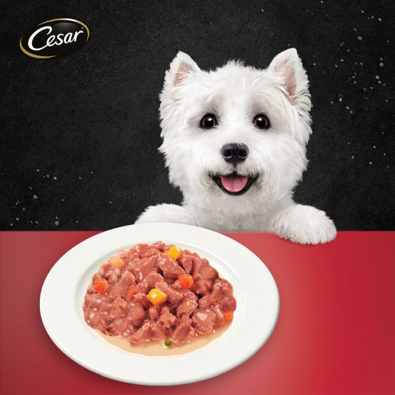 ซีซาร์ อาหารสุนัข ชนิดเปียก สูตรสุนัขโต รสเนื้อพร้อมผักในน้ำเกรวี่ 70 ก.