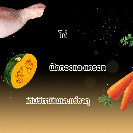 ซีซาร์ อาหารสุนัข ชนิดเปียก สูตรสุนัขโต รสเนื้อไก่ แครอทและฟักทองในเจลลี่ 70 ก.