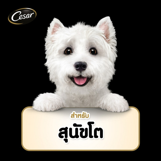 ซีซาร์ อาหารสุนัข ชนิดเปียก สูตรสุนัขโต รสเนื้อไก่ แครอทและฟักทองในเจลลี่ 70 ก.