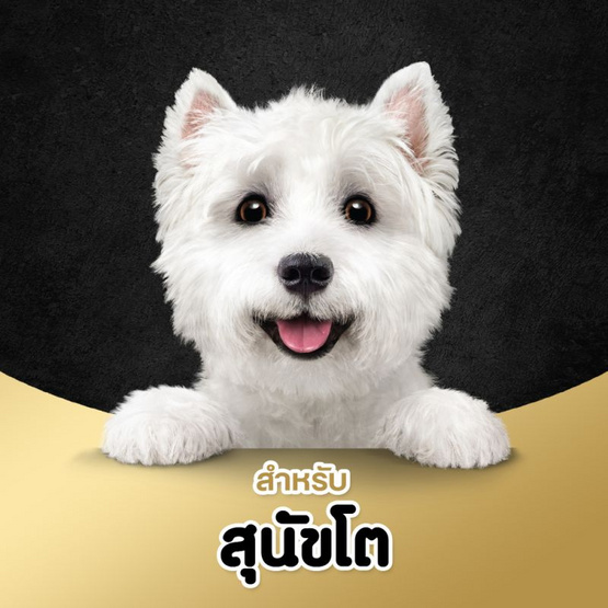 ซีซาร์ อาหารสุนัข ชนิดเปียกแบบถาด สูตรสุนัขโต รสเนื้อและตับหมู 100 ก. (แพ็ก 6 ชิ้น)