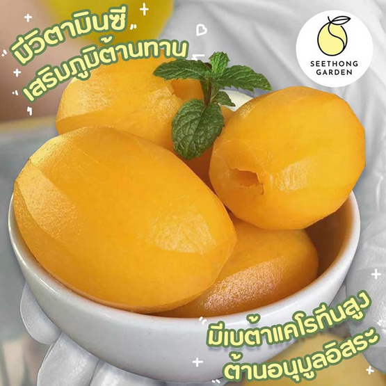 สวนศรีทอง มะยงชิดพันธุ์ทูลเกล้า GI จ. นครนายก ไซซ์เล็ก (18-24 ลูก/กก.) 2 กิโลกรัม