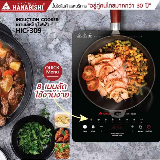 Hanabishi เตาแม่เหล็กไฟฟ้า รุ่น HIC-309