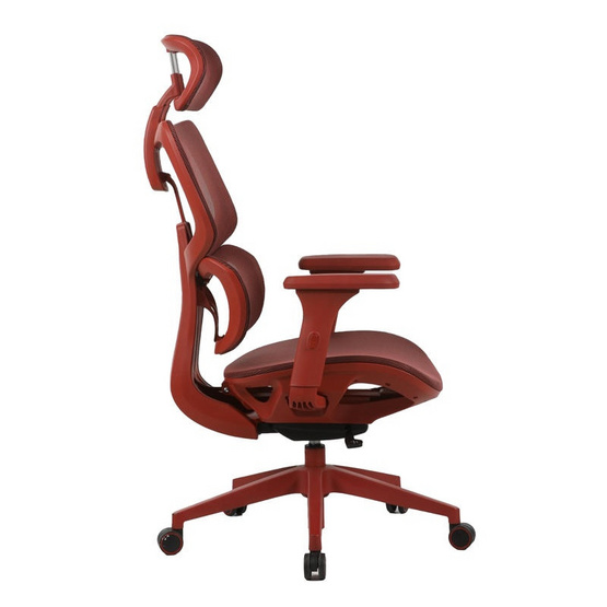 MODENA เก้าอี้เพื่อสุขภาพ Cusco