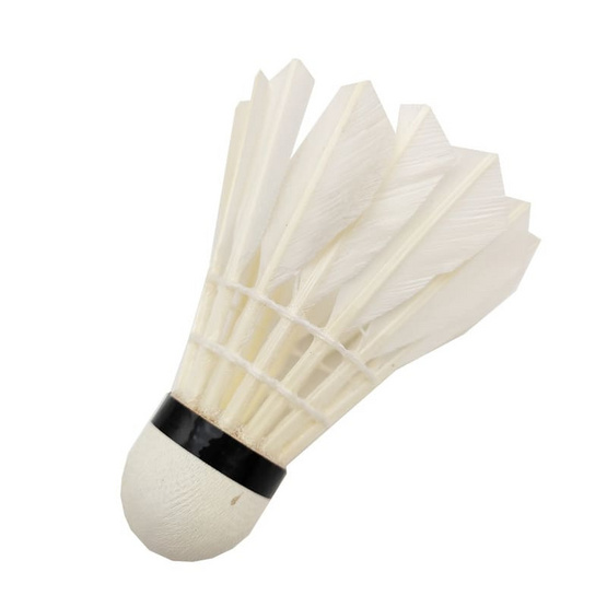 PRS ลูกขนไก่ PARROT Standard Grade 12 ลูก สีฟ้า