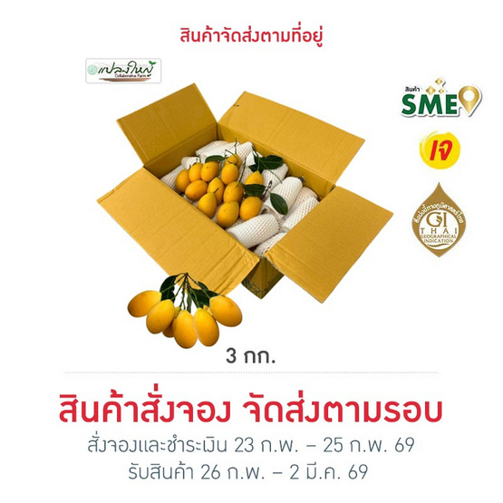 มะยงชิด GI นครนายก วิสาหกิจชุมชนแปลงใหญ่ดงละคร (16-18 ลูก/กก.) 3 กิโลกรัม