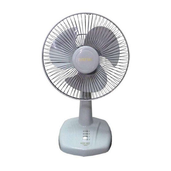 LUCKY MISU พัดลมตั้งโต๊ะ 12 นิ้ว รุ่น LM 521