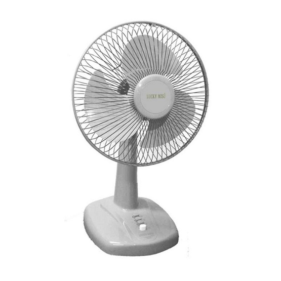 LUCKY MISU พัดลมตั้งโต๊ะ 12 นิ้ว รุ่น LM 521