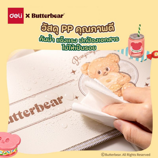 Deli แฟ้มกระเป๋าหีบเพลง Butterbear สีเขียว 13 ช่อง ขนาด A4