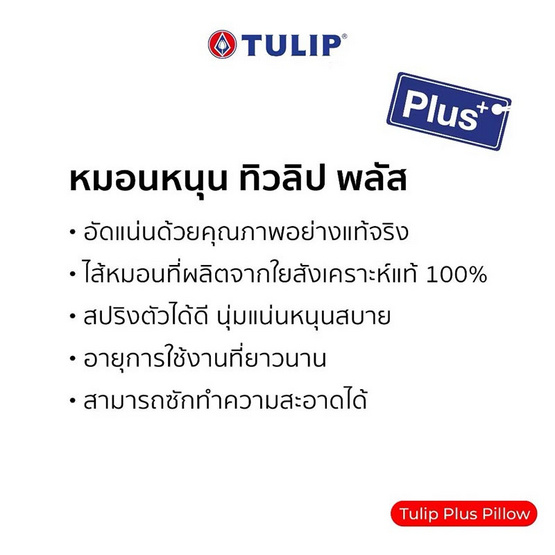 Tulip Microplus pillow หมอนหนุนใยสังเคราะห์