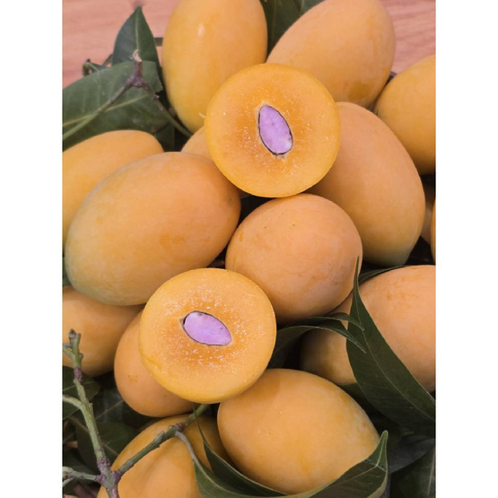 สวนคำลับแล มะยงชิดพันธุ์ทูลเกล้า (14-16 ลูก/กก.)