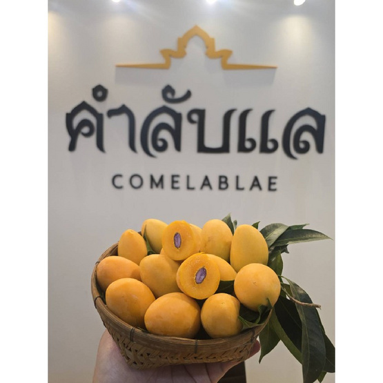 สวนคำลับแล มะยงชิดพันธุ์ทูลเกล้า (14-16 ลูก/กก.)