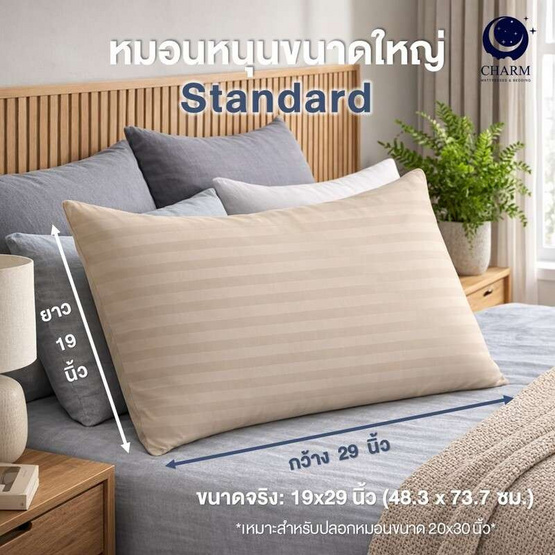 CHARM หมอนหนุน Sweet dream ลายริ้ว 19x29นิ้ว
