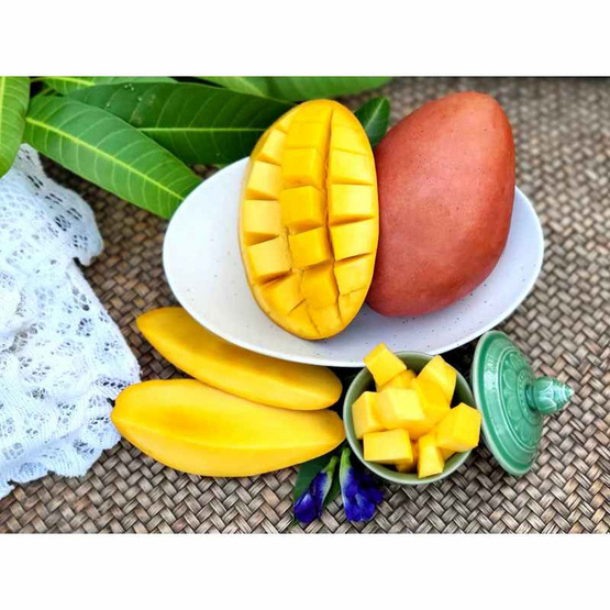 ไร่ชรินทร์พรรณ มะม่วงแดงจักรพรรดิ์พรีเมียม (ยู่เหวิน) กล่อง 2 กก.