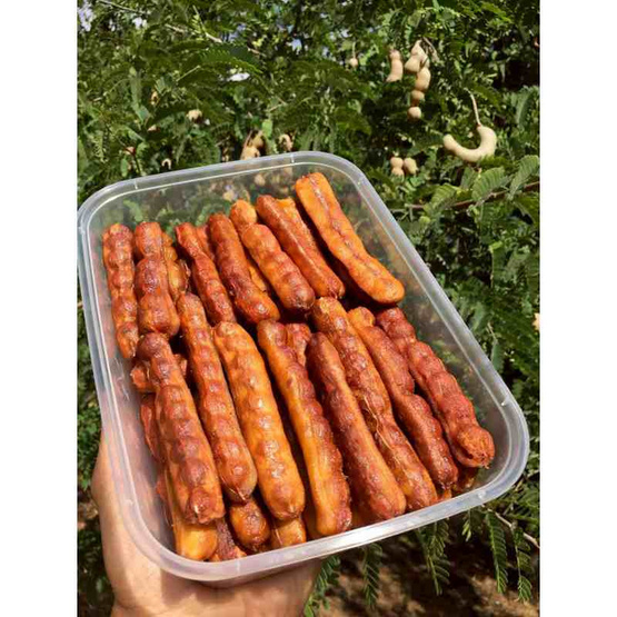 ไร่ชรินทร์พรรณ มะขามหวานแกะเปลือก พันธุ์สีทอง จ. ลำปาง 500 กรัม