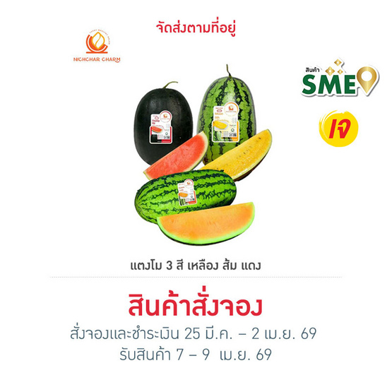 ณิชชา ชามม์ เซตแตงโม 3 สี size M (เหลือง ส้ม แดง) (2.7-3 กก./ลูก)