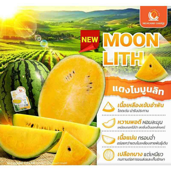 ณิชชา ชามม์ เซตแตงโม 3 สี size M (เหลือง ส้ม แดง) (2.7-3 กก./ลูก)