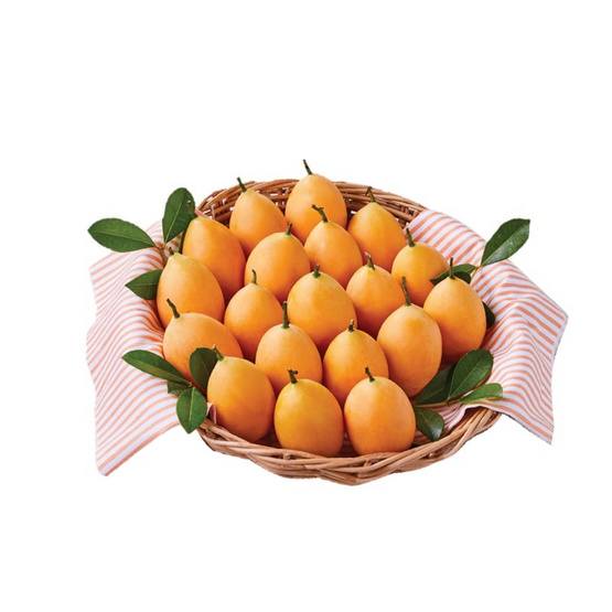 มะยงชิดพันธุ์ทูลเกล้า 1000 กรัม