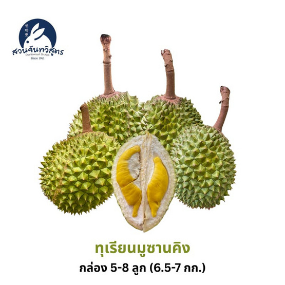 สวนจันทวิสูตร ทุเรียนมูซานคิง 5-8 ลูก (6.5-7 กก.)