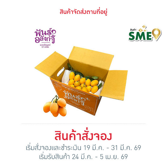 มะยงชิดพันธุ์อลังการ ไซซ์ใหญ่ (16-17 ลูก/กก.) กล่อง 3 กก. สวนพันธุ์อลังการ จ. แพร่