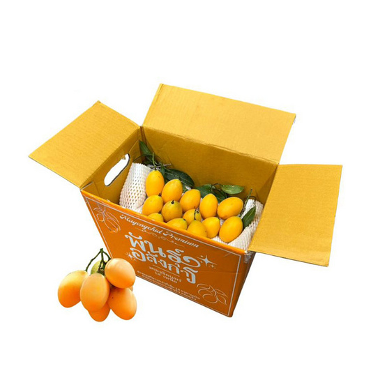 มะยงชิดพันธุ์อลังการ ไซซ์ใหญ่ (16-17 ลูก/กก.) กล่อง 3 กก. สวนพันธุ์อลังการ จ. แพร่