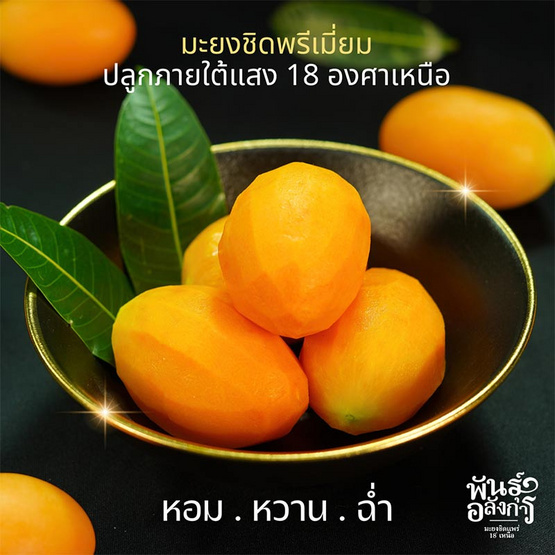 มะยงชิดพันธุ์อลังการ ไซซ์ใหญ่ (16-17 ลูก/กก.) กล่อง 3 กก. สวนพันธุ์อลังการ จ. แพร่