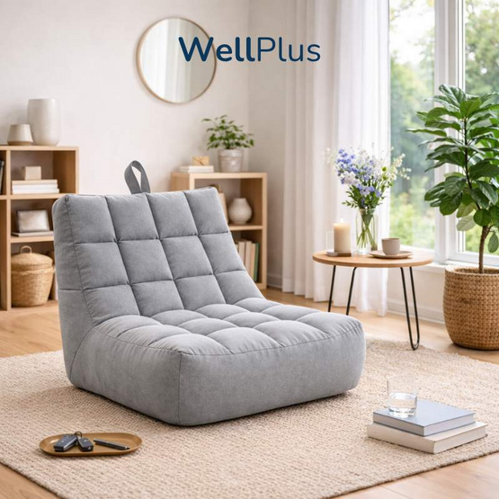 WellPlus Bean Bag บีนแบคลายตาราง หุ้มผ้าแคนวาส เม็ดโฟมพรีเมียม