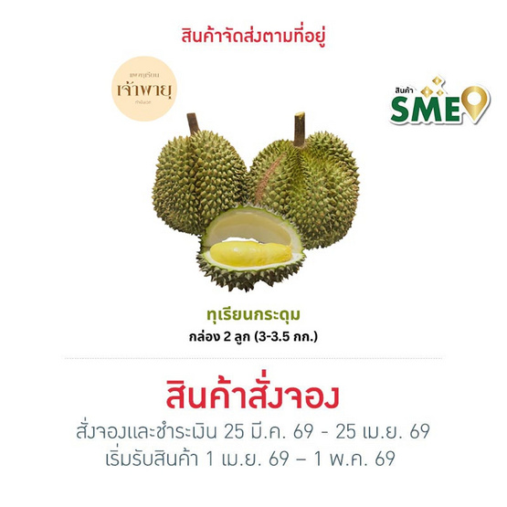 สวนเจ้าพายุ ทุเรียนกระดุม กล่อง 2 ลูก (3 - 3.5 กก.)