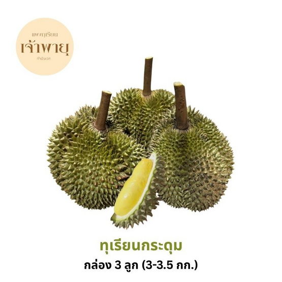สวนเจ้าพายุ ทุเรียนกระดุม กล่อง 3 ลูก (3.5 - 4 กก.)