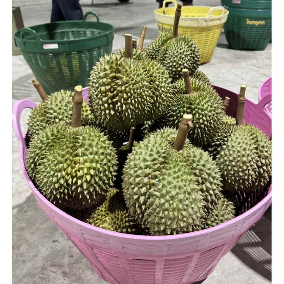 สวนเจ้าพายุ ทุเรียนกระดุม กล่อง 3 ลูก (3.5 - 4 กก.)