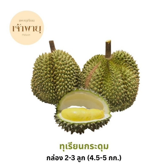 สวนเจ้าพายุ ทุเรียนกระดุม กล่อง 2-3 ลูก (4.5-5 กก.)