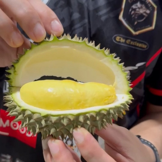 สวนเจ้าพายุ ทุเรียนกระดุม กล่อง 2-3 ลูก (4.5-5 กก.)