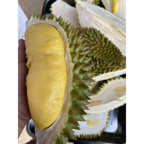 สวนเจริญทรัพย์ ทุเรียนนกหยิบ กล่อง 1 ลูก (2.6-3.0 กก.)