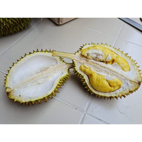 สวนจันทวิสูตร ทุเรียนหลงลับแล กล่อง 5-8 ลูก (6.5-7 กก.)