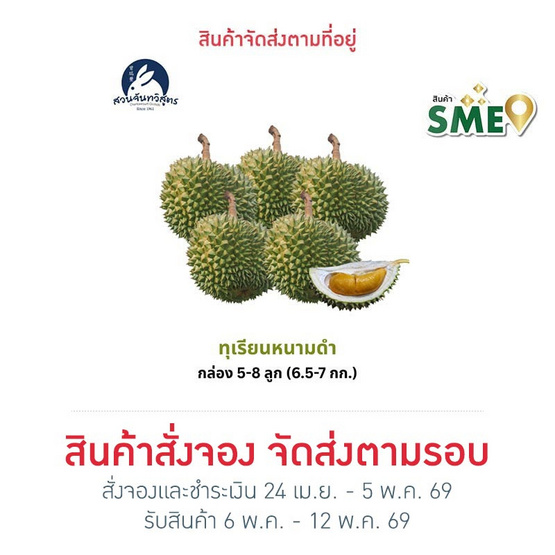 สวนจันทวิสูตร ทุเรียนหนามดำ กล่อง 5-8 ลูก (6.5-7 กก.)