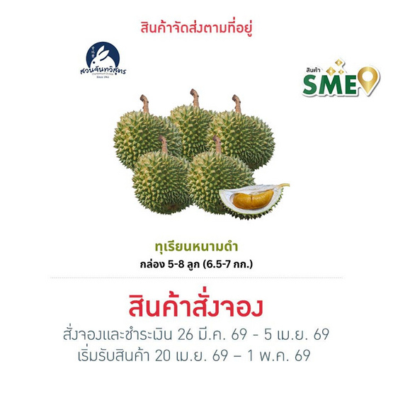 สวนจันทวิสูตร ทุเรียนหนามดำ กล่อง 5-8 ลูก (6.5-7 กก.)