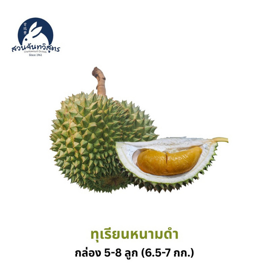 สวนจันทวิสูตร ทุเรียนหนามดำ กล่อง 5-8 ลูก (6.5-7 กก.)