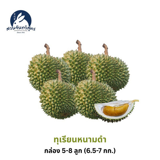 สวนจันทวิสูตร ทุเรียนหนามดำ กล่อง 5-8 ลูก (6.5-7 กก.)