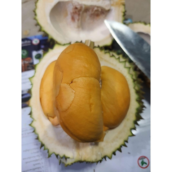 สวนจันทวิสูตร ทุเรียนหนามดำ กล่อง 5-8 ลูก (6.5-7 กก.)