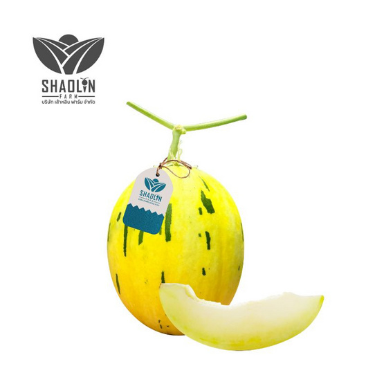 เส้าหลินฟาร์ม เมล่อนไดโนล่อน (Dinolon) สีขาว กล่อง 1 ลูก