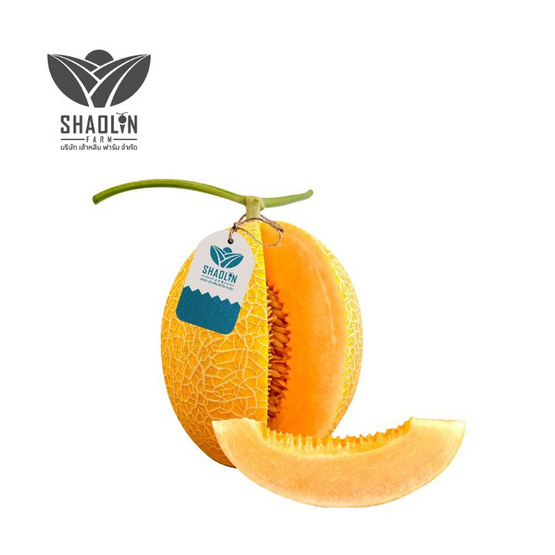 เส้าหลินฟาร์ม เมล่อนเยลโล่สโตน (Yellow Stone) สีส้ม กล่อง 1 ลูก