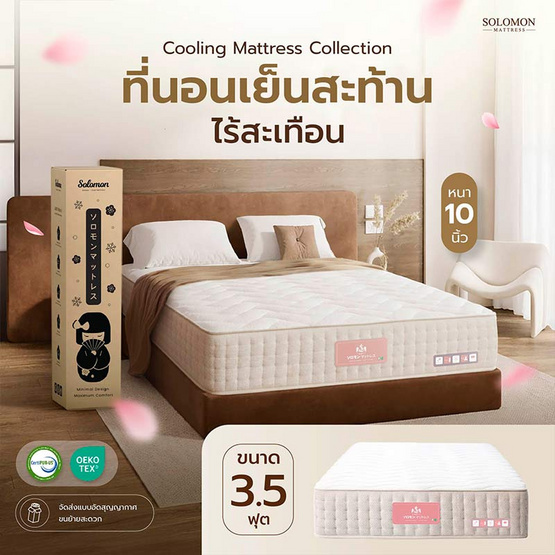 SOLOMON ที่นอนเย็น พ็อกเก็ตสปริง 10นิ้ว รุ่น Maetaru
