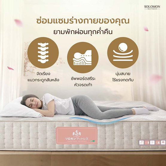 SOLOMON ที่นอนเย็น พ็อกเก็ตสปริง 10นิ้ว รุ่น Maetaru
