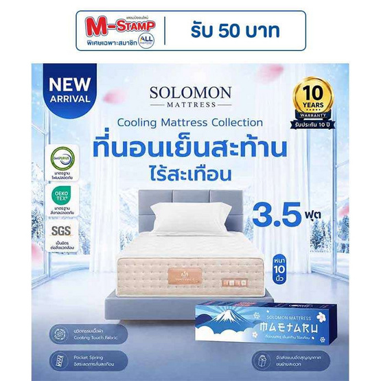 SOLOMON ที่นอนเย็น พ็อกเก็ตสปริง 10นิ้ว รุ่น Maetaru