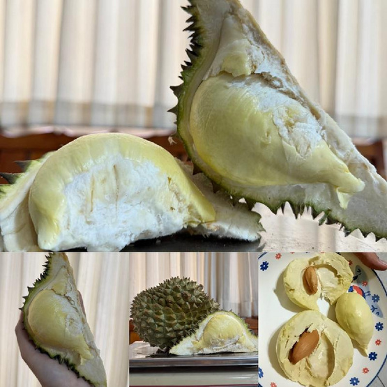 น้องคิม ทุเรียนหมอนทอง 1 ลูก (1.5-1.8 กก.)