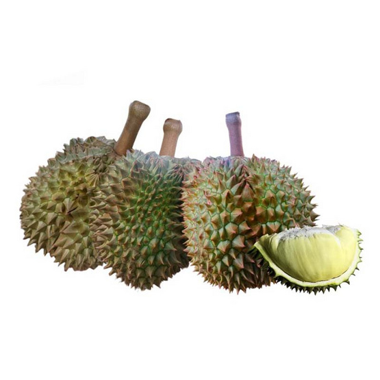 น้องคิม ทุเรียนหมอนทอง 3 ลูก (5.7-6 กก.)