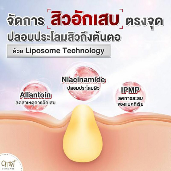 AMT Skincare เจลแต้มสิว Liposome Acne Spot Serum 7มล.