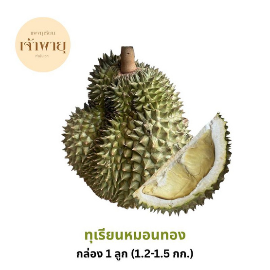 สวนเจ้าพายุ ทุเรียนหมอนทอง 1 ลูก (1.2-1.5 กก.)