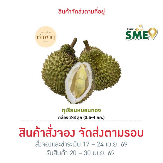 สวนเจ้าพายุ ทุเรียนหมอนทอง 2-3 ลูก (3.5-4 กก.)