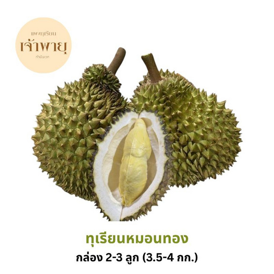 สวนเจ้าพายุ ทุเรียนหมอนทอง 2-3 ลูก (3.5-4 กก.)